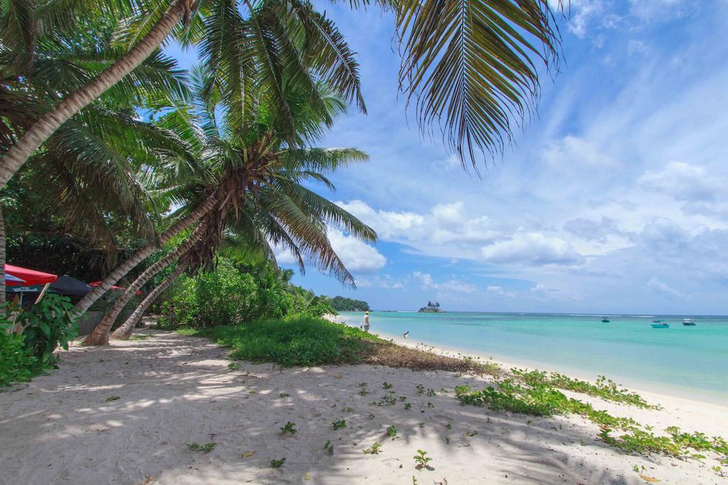 Apartmán Coco Blanche Anse Royale Exteriér fotografie